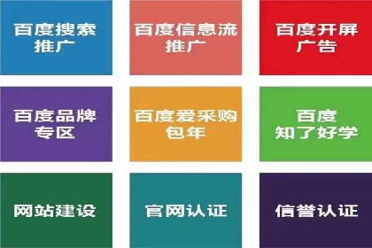 案例分析：SEM竞价代运营策略优化